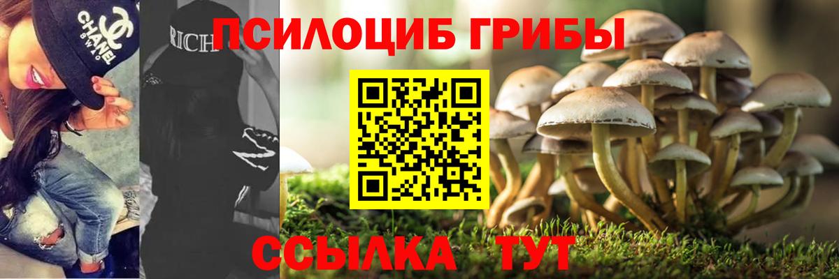 Галлюциногенные грибы Magic Shrooms Владикавказ
